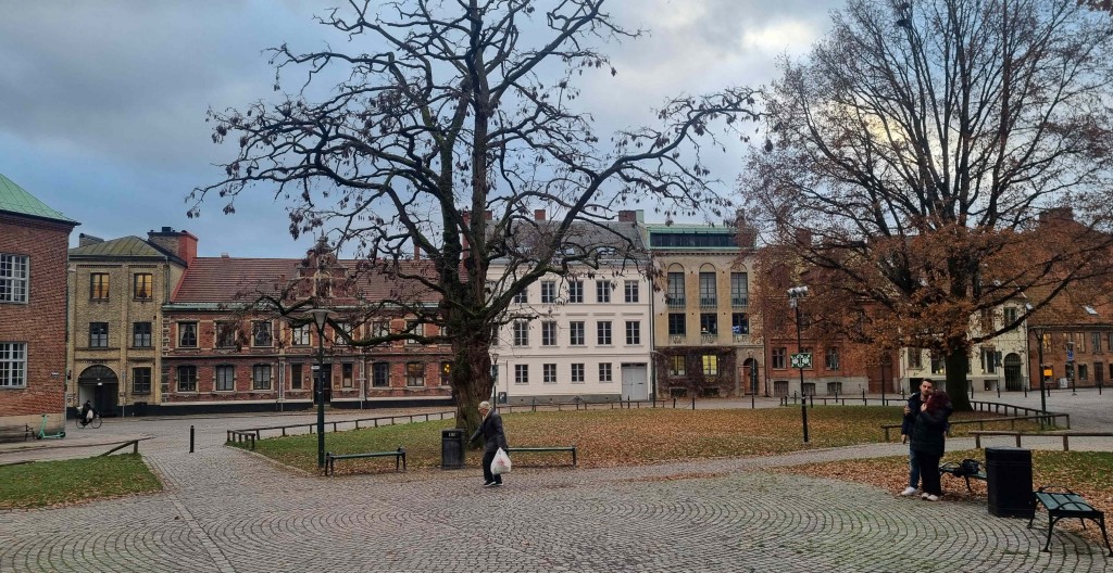 Krafts torg 1 20241126_144431