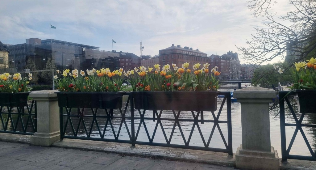 Amiralsbron 1 Malmö blommar 20250416_171053