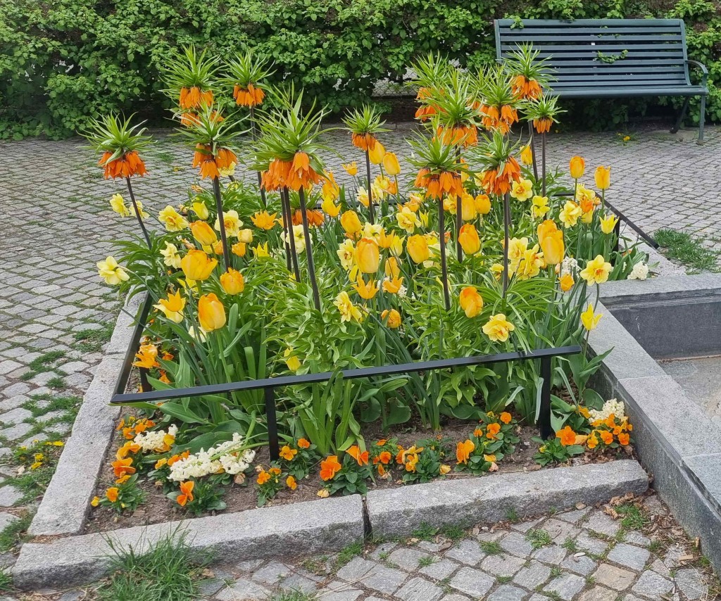 Davidhallstorg 1 20250423_155032